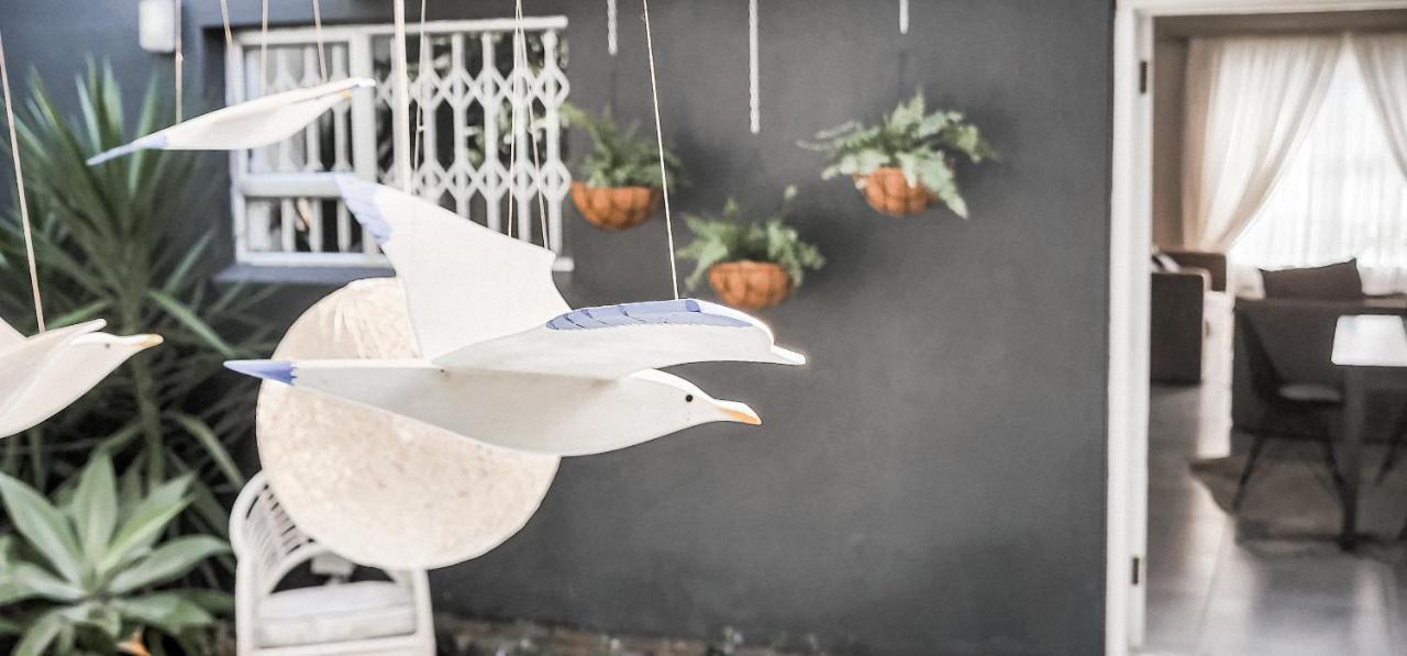 Seagull Hermanus Ngoại thất bức ảnh